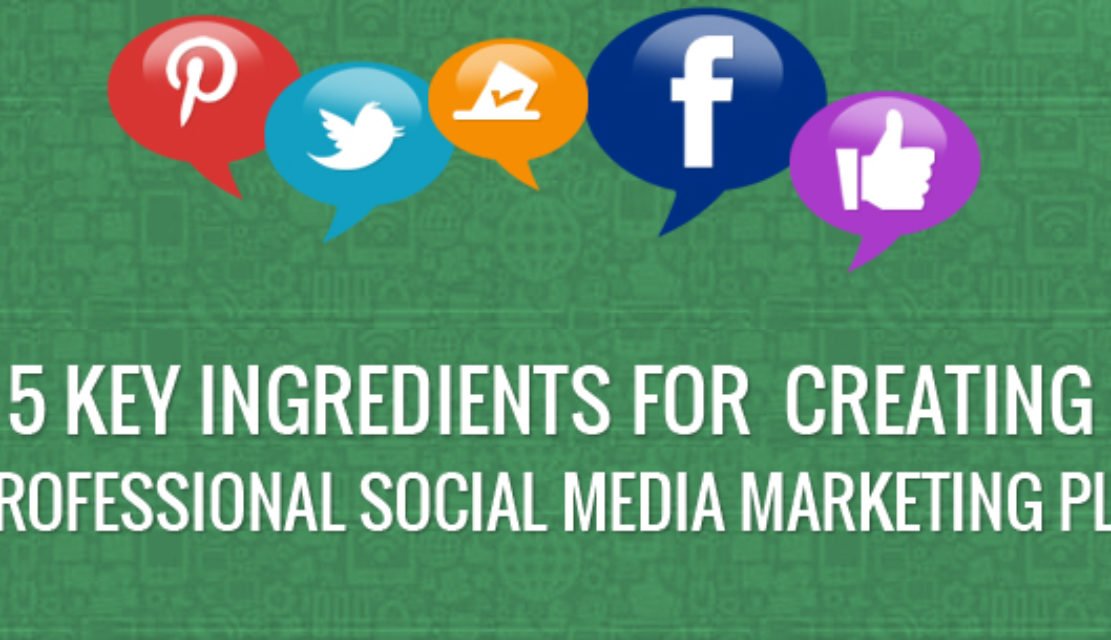 5 Key Ingredients For Creating A Professional Social Media Marketing Plan